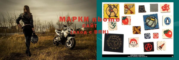 винт Чегем