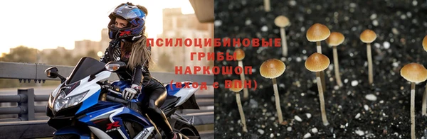 гашиш Бородино