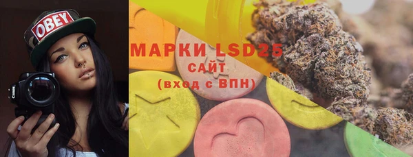 эйфоретик Богданович