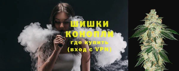 МДПВ Богородск
