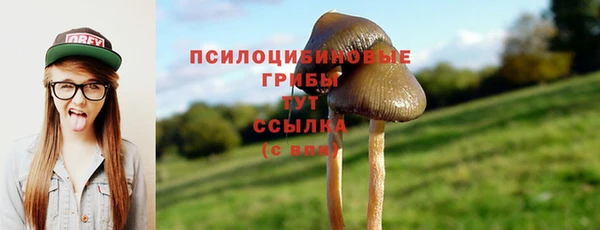 мяу мяу мука Богородицк
