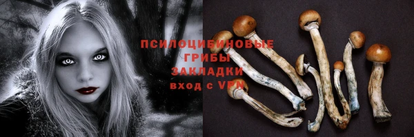 спиды Балабаново