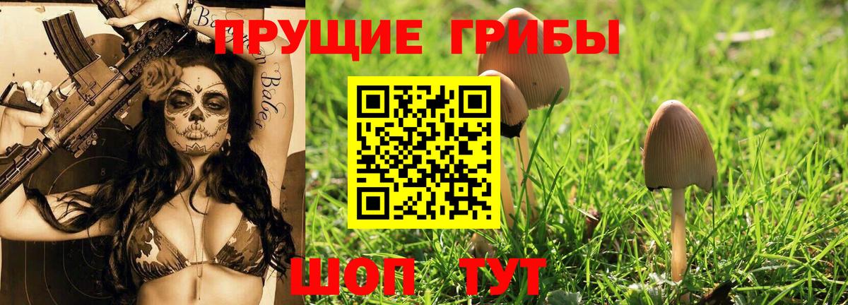 наркошоп  Псилоцибиновые грибы Psilocybe  Галлюциногенные грибы мицелий  Вход с VPN  Обь 