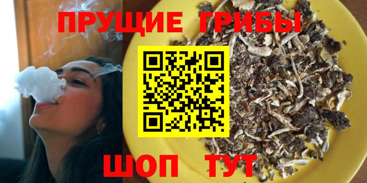Псилоцибиновые грибы мицелий Обь